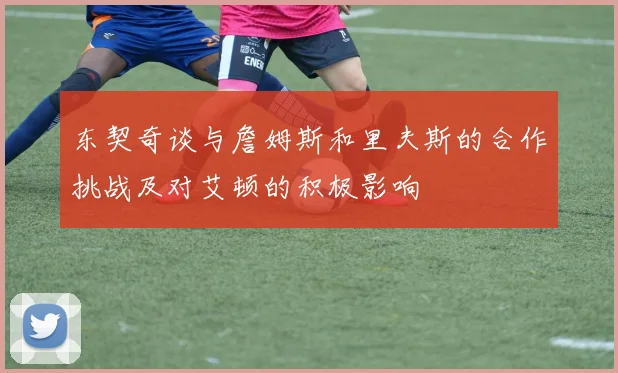 东契奇谈与詹姆斯和里夫斯的合作挑战及对艾顿的积极影响